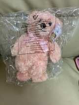 ★ダイソー★テディベア★キャサリン★くまのぬいぐるみ★新品未使用★即決 _画像1