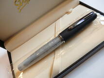 ◆【新品・未使用】スティピュラ　アリナリ・アイス万年筆　ペン先：チタン F_画像2