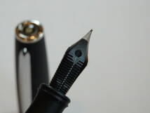◆【新品・未使用】スティピュラ　アリナリ・アイス万年筆　ペン先：チタン F_画像9