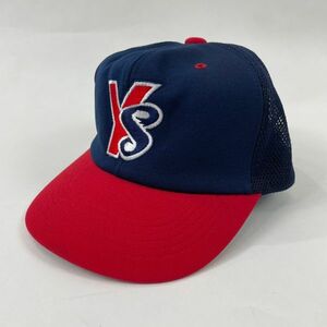 レア◆新品◆デッドストック◆Yakult swallows/ヤクルトスワローズ キャップ 帽子 ベースボール ネイビー 紺 レッド 赤 メンズ　Z21