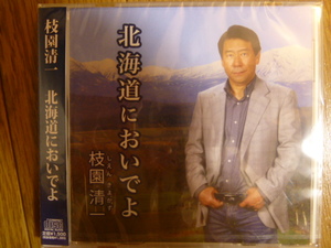 新品★CD★枝園清一★北海道においでよ★