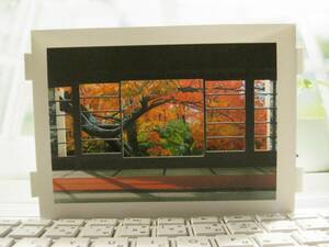  shadow art style print cut .. Japan garden autumn . leaf picture frame less R type 