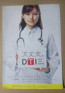 激レア！◆小西真奈美◆DTI TEPCOひかり の美品チラシ