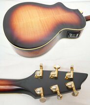 ★Breedlove★AC25/SF PLUS Sunburst トップバック単板モデル 状態良好 2007年製 ブリードラブ エレアコ★_画像3