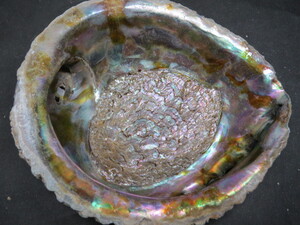 レトロ 貝殻 アワビ 詳細不明 加工有り アンティーク 置物 小物入れ ハンドメイド素材 原料 鮑 アワビ貝殻 貝殻 アワビ 置物 小物入れ等に Pricing Horizonyc Com レトロ 貝殻 アワビ 詳細不明 加工有り アンティーク 置物 小物入れ ハンドメイド素材 原料 鮑 アワビ貝殻 貝殻 アワビ 置物 小物入れ等に Pricing Horizonyc Com