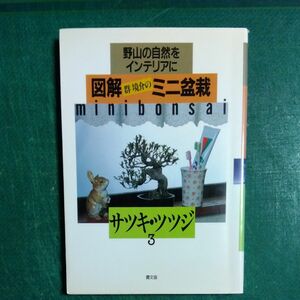 図解　群境介のミニ盆栽　3サツキ・ツツジ