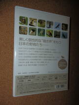 USED品★NHKエンタープライズ 日本の野鳥 鳴き声映像図鑑 DVD_画像2