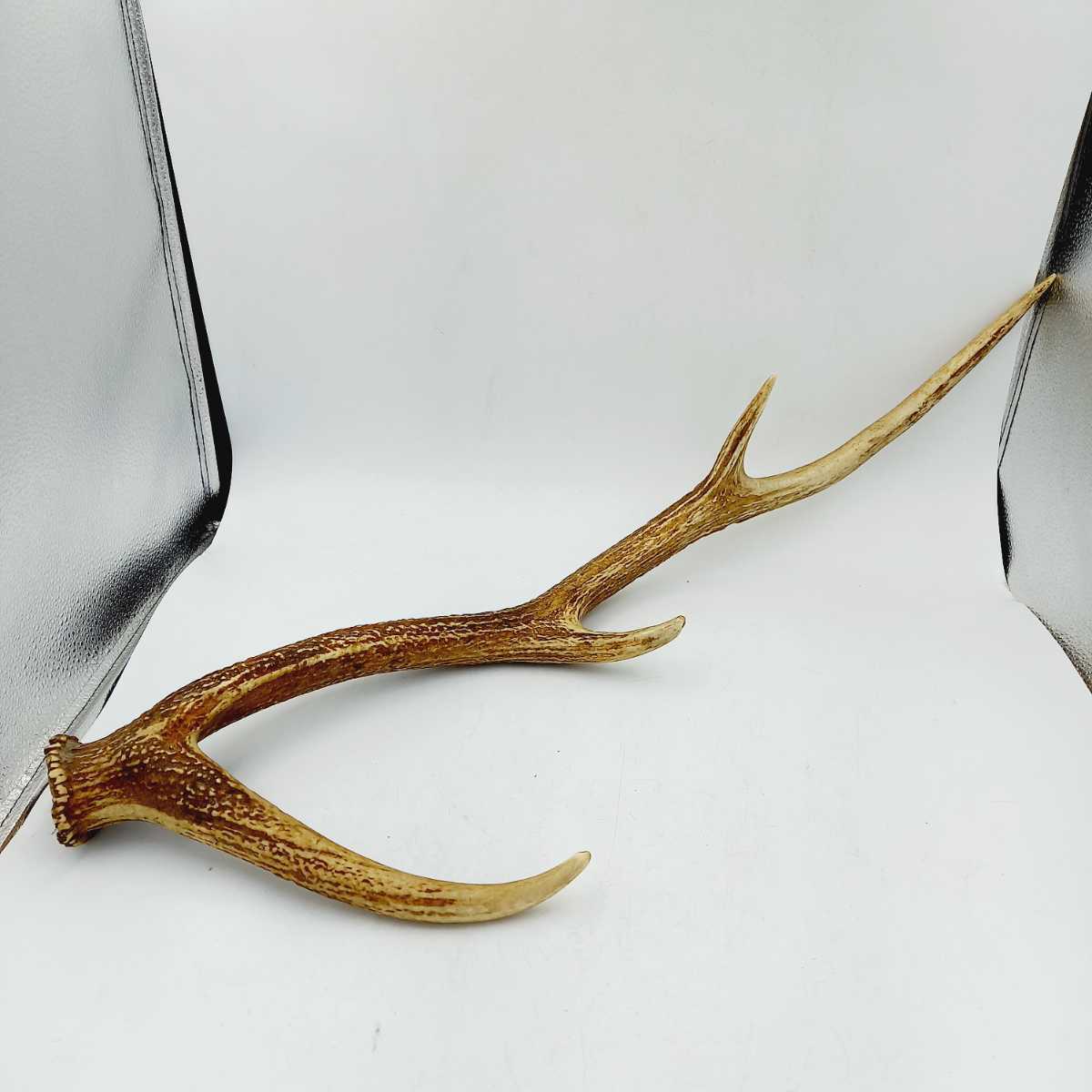 ヤフオク! -「鹿の角 置物」の落札相場・落札価格