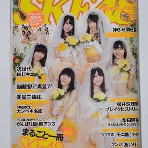 週刊プレイボーイ増刊号 SKE48×週刊プレイボーイ 2013年11月15日号 超特大ポスター付 松井珠理奈 松井玲奈 高柳明音 須田亜香里 柴田阿弥