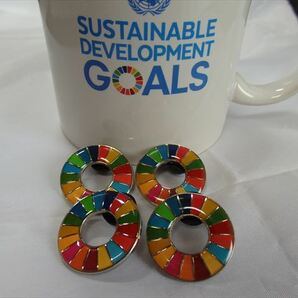  SDGs ピンバッジ 4個（3410円税込）(送料無料）（国連ブックショップ購入）（新品未使用）(ラバークラスプ付再生素材)保存袋付4枚き）UN14