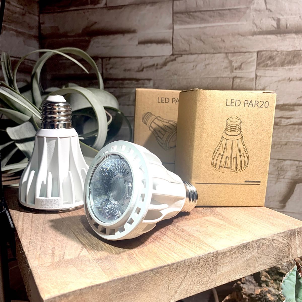 24w植物育成ライトGrowLight 6000K COBLED 5個 - ruizvillandiego.com
