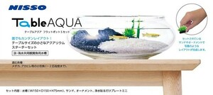  stock disposal niso- table aqua Flat pot S set tropical fish * aquarium / aquarium * aquarium / aquarium set 