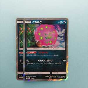 ポケモンカード ミカルゲ 　うらみだめ　SM12a C 076/173 2枚セット ポケモンカードゲーム