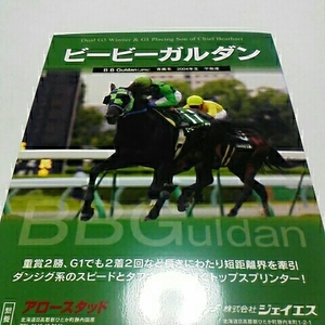 ビービーガルダン　種牡馬パンフレット　アロースタッド　送料込み