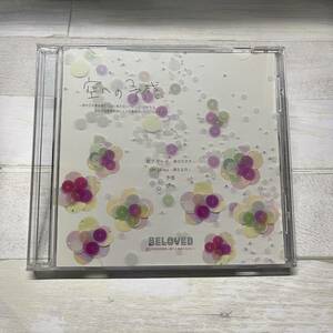 CD 空への予感 沢口千恵 Beloved 前田もとひこ