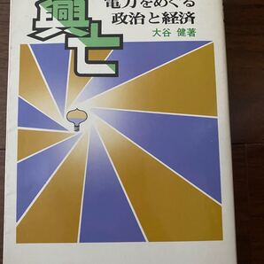 興亡 : 電力をめぐる政治と経済