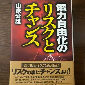 山家 公雄 電力自由化のリスクとチャンス