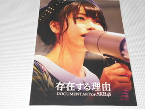 パンフレット AKB48 存在する理由 DOCUMENTARY OF AKB48