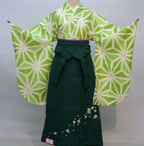  кимоно hakama комплект Junior для . исправление 144cm~150cm 100 цветок .. новый товар ( АО ) дешево рисовое поле магазин NO29707-03
