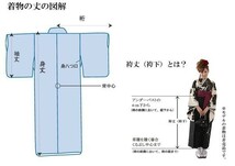 着物 袴セット ジュニア用へ直し 135cm～143cm 百花斉放 袴色変更可能 新品（株）安田屋 NO31788-02_画像4