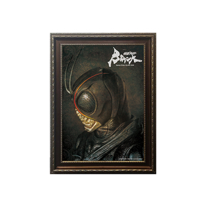  immediate payment special effects. DNA Kamen Rider black sun new goods picture frame poster (BLACK SUN ver) free shipping poster blacksun black sun commodity at hand equipped 