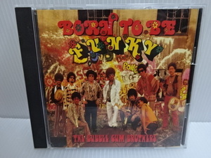 美品 バブルガムブラザーズ THE BUBBLE GUM BROTHERS BORN TO BE FUNKY CD