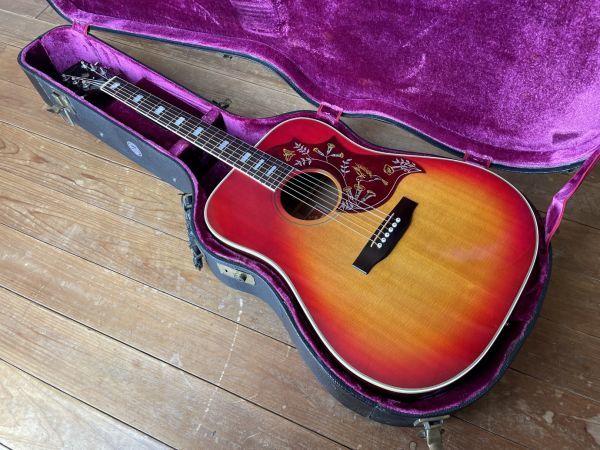 史上最も激安 Honeybee 超レア・ハミングバード Dove アコースティック
