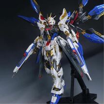 【全体塗装】MGEXストライクフリーダムガンダム 完成品 雷電作_画像1