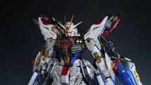 【全体塗装】MGEXストライクフリーダムガンダム 完成品 雷電作_画像5