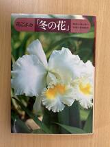 IZ0254 花ごよみ 冬の花 昭和57年1月20日発行 湯山英一 夏梅陸夫 日本水仙 ポインセチア カトレア ウメ キンセンカ ハボタン ビワ_画像1