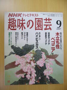 IZ0167 NHKテレビテキスト 趣味の園芸 2007年9月号 木立ち性ベゴニア コニファー 西洋シバ お庭 ベランダ 多肉植物 鉢花 ハイビスカス