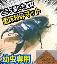 【改良版】菌床粉砕クワガタマット　瓶に詰めるだけ！オオクワ、ヒラタ、ニジイロ、ノコギリ幼虫が大きくなります！初令から3令まで万能！_画像1