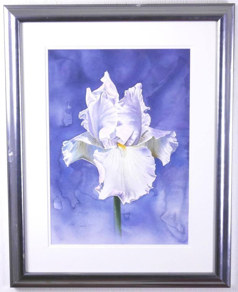 Joel Augard MYSTEQUE/German Iris ◆ Watercolor No. 8 ◆ Autographed ◆ Realistic! Popular American artist!, painting, oil painting, Nature, Landscape painting