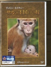 C7488 新品未開封DVD ディズニーネイチャー サルの王国とその掟_画像1