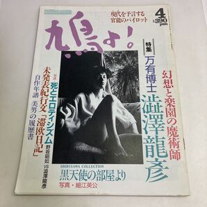 ◇送料無料◇ 鳩よ! 1992年4月 特集 万有博士 澁澤龍彦 幻想と楽園の魔術師 未発表紀行文「滞欧日記」♪GM09
