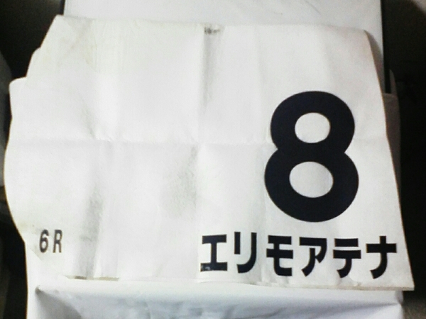 エリモアテナ　2002年10月6日 京都6R　石橋守騎手　騎乗　実使用ゼッケン