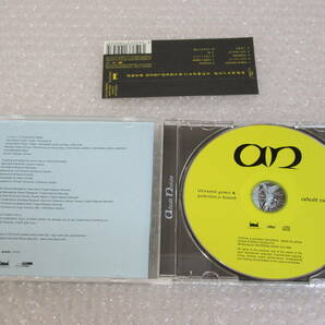 CD★うつみようこ[アダルトノイズ]帯/UTSUMI YOKO&YOKOLOCO BAND/ADULT NOIZEの画像3