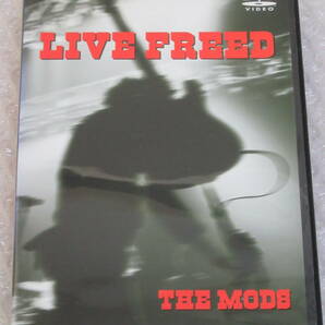 DVD★THE MODS[LIVE FREED]の画像1