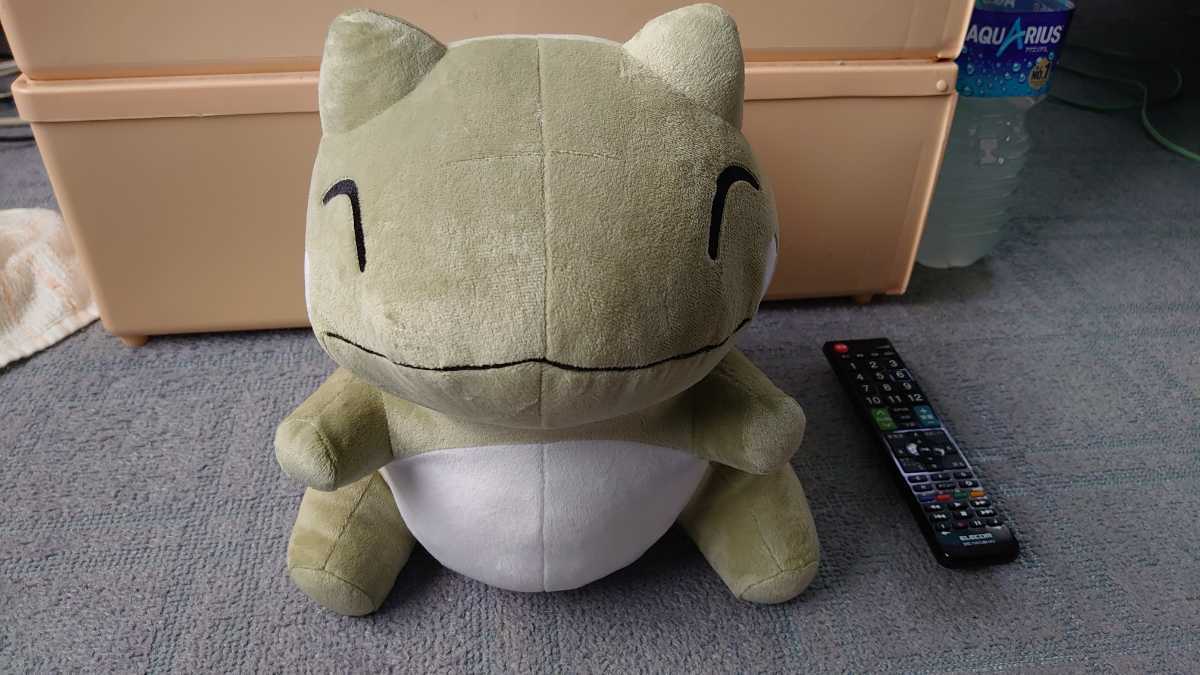 大人気定番商品 ポケモン みがわりぬいぐるみ その他 Www Havkinurology Com