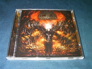 [輸入盤] SPAWN OF POSSESSION/Noctambulant 2006年 Willowtip盤 　デスメタル/DEATH METAL