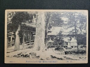 ｎ★　戦前 絵葉書　信州　小県郡東塩田村官幣中社生島足島神社全景　/A上pc①