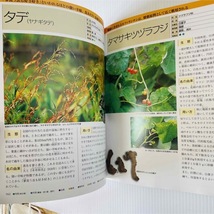 家庭で使える薬用植物大事典_画像6