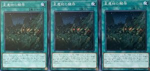 遊戯王 ノーマル 魔法 3枚セット 星遺物の醒存 CYHO