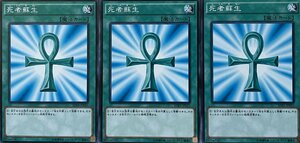 遊戯王 ノーマル 魔法 3枚セット 死者蘇生 SDKS