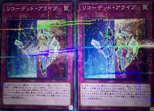 遊戯王 ノーマルパラレル 罠 2枚 リコーデッド・アライブ SD32