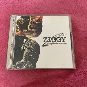 ZIGGY 2CD NOW AND FOREVER