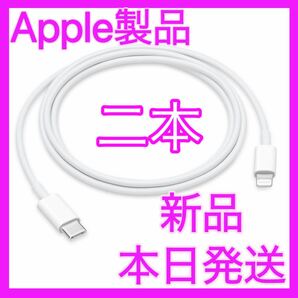 Lightning iPhone Lightningケーブル Apple USB-C 新品　二本