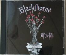 Blackthorne /ブラック・ソーン＜＜Afterlife/アフターライフ＞＞　帯付き　国内盤　　　グラハム・ボネット　 　_画像1