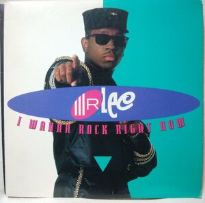 ★★Mr.LEE I wanna ROCK right now ★ヒップハウス ★ US盤 アルバム アナログ盤 [1879TPR