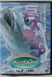 ★★DVD 世界秘境釣行 6★世界最大級の大環礁 ニューカレドニアに巨大魚を追う★釣り 怪魚 巨大魚 フィッシング [8874CDN